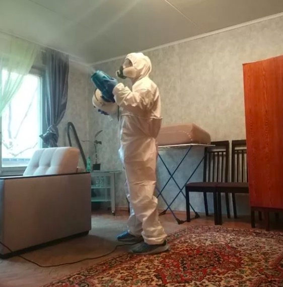 дезинсекция квартиры в Лузе